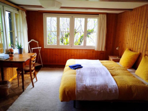 Sonnenhof Wengen - First Hotel of Wengen